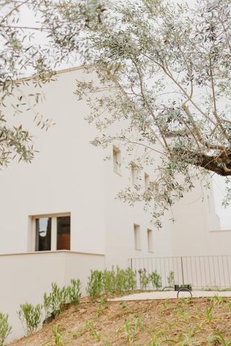 Casa Oliveto — 4-Star Luxury Hotel in Spoltore, Italy