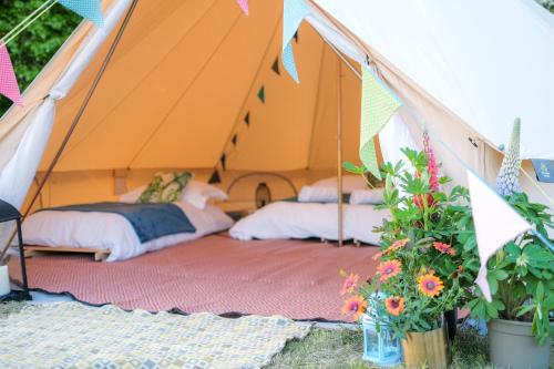 Glamping at Hay Festival in Hay, United Kingdom