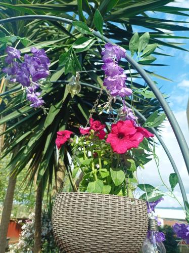 Cávado Terrace Studio in Braga, Portugal