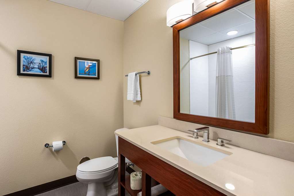 Comfort Inn and Suites Ames near ISU Campus - photo 15