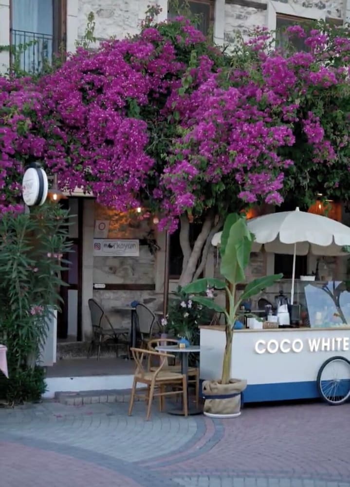 Morkoyun Taş Ev in Karaburun, Turkey