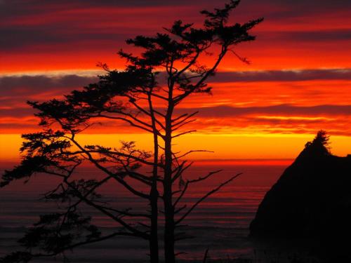 Agate Beach Motel - photo 22