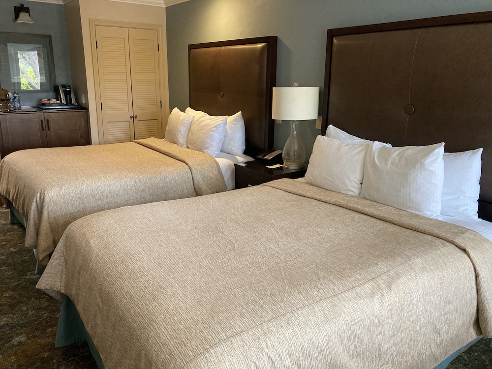 Blue Dolphin Inn - photo 31
