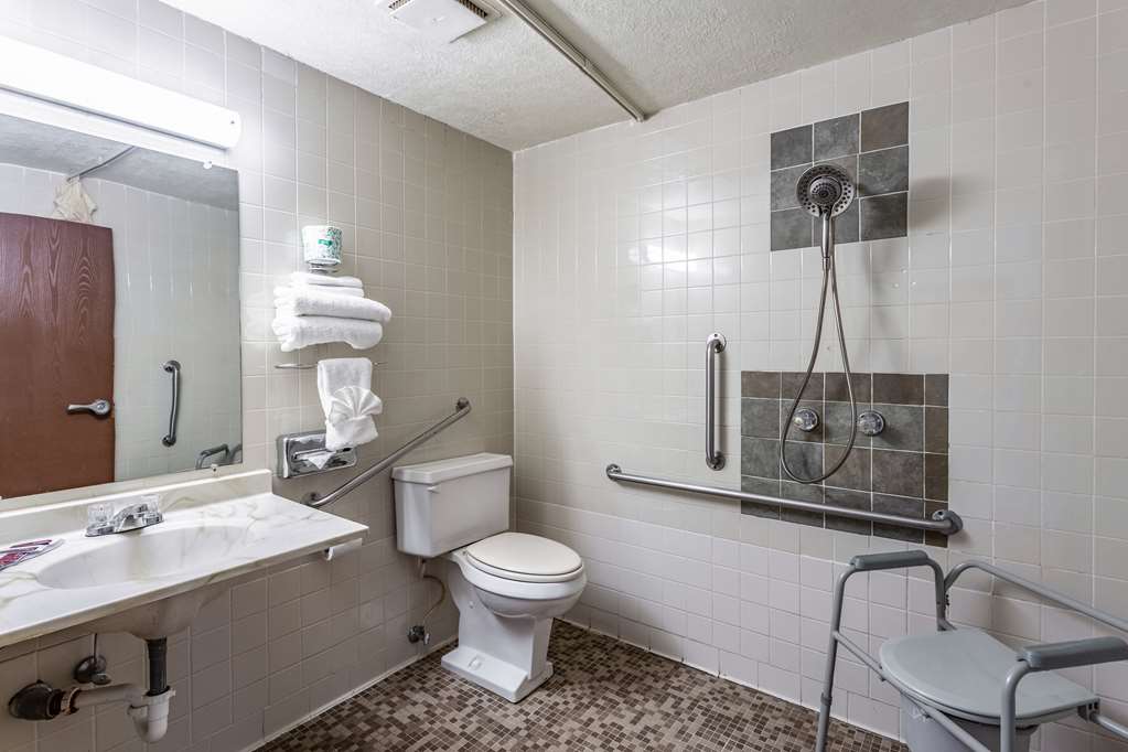 Rodeway Inn Farmington - photo 7