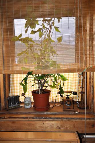 Penzión Victória in Nizna, Slovakia