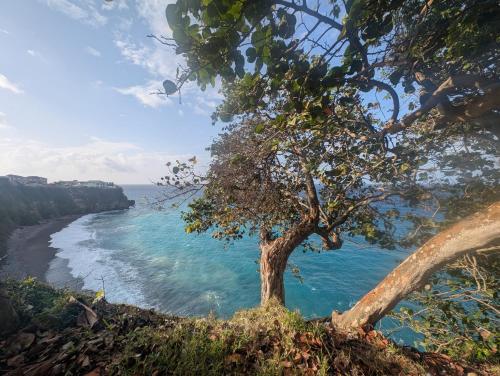 TwentyFive at Tower Isle in Unknown City, Jamaica