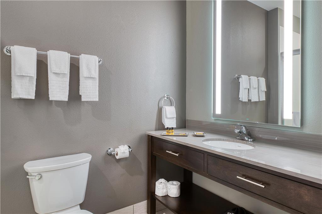 Best Western Plus Saint Peter - photo 45