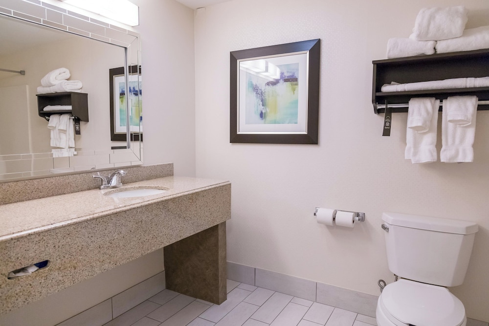Holiday Inn & Suites Syracuse Airport Liverpool by IHG - photo 30
