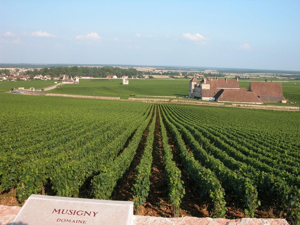 Hotel De Vougeot - carbon neutral hotel in Nuits-Saint-Georges