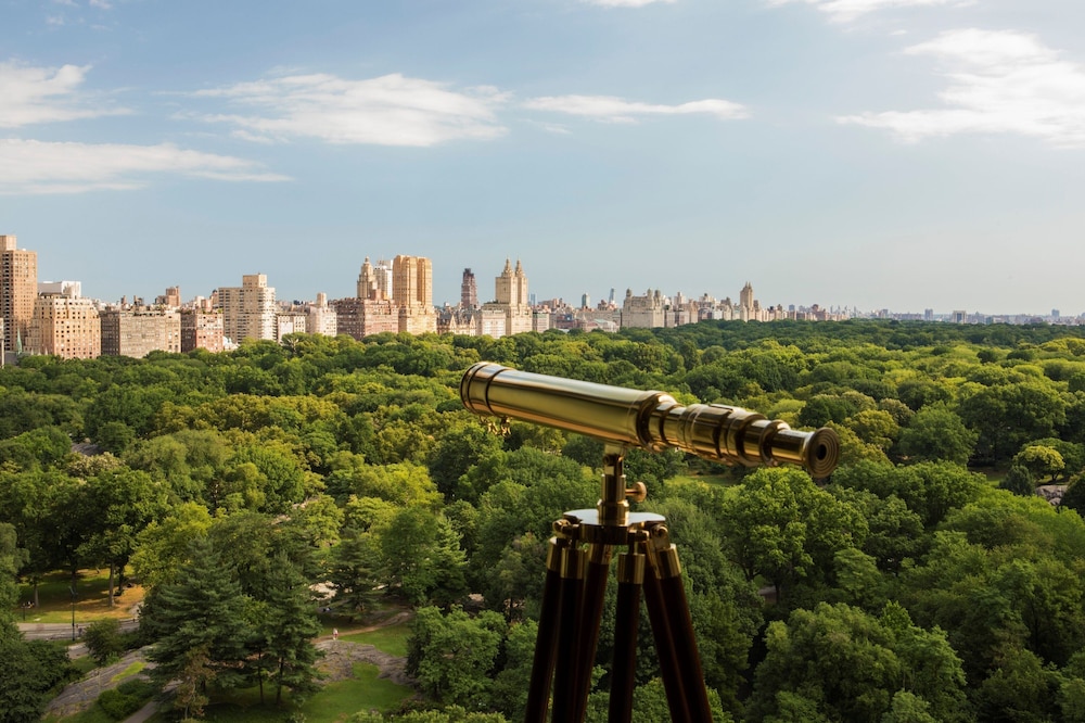 The Ritz Carlton New York Central Park - photo 116