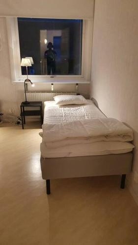 Stor villa på Teg i Umeå nära centrum med parkering — Umea — photo 3