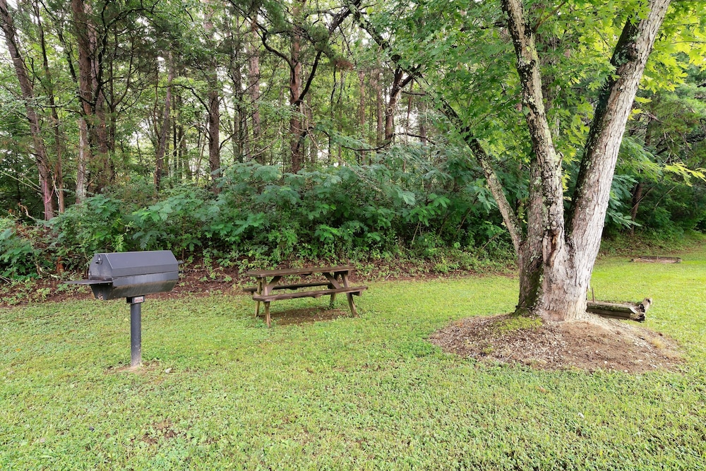 Mountain Meadows - photo 27