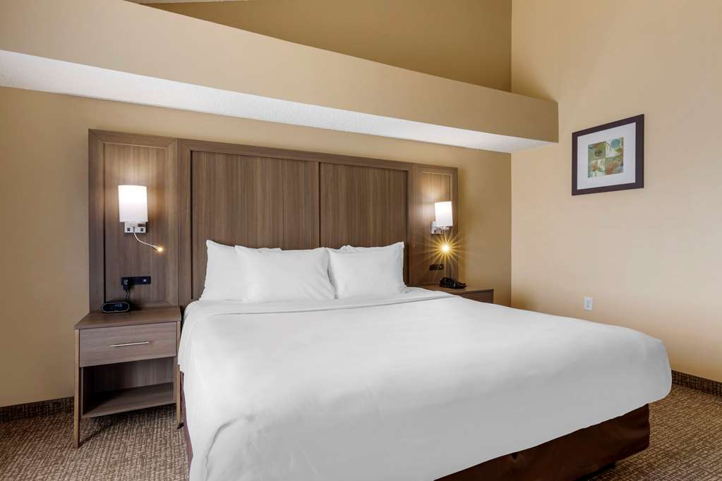 Comfort Suites DFW Airport - photo 10