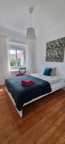 Coliving in Lisbon Center long term stays