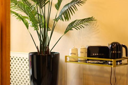 Comfortable 2BR Apt with 3 Balconies by Wehost