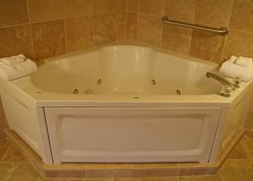 Hampton Inn Sevierville - photo 30