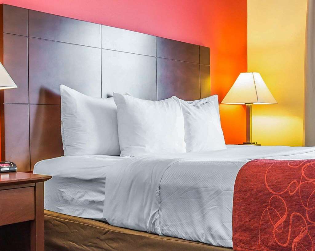 Comfort Suites Rock Hill Manchester Meadows Area - photo 20