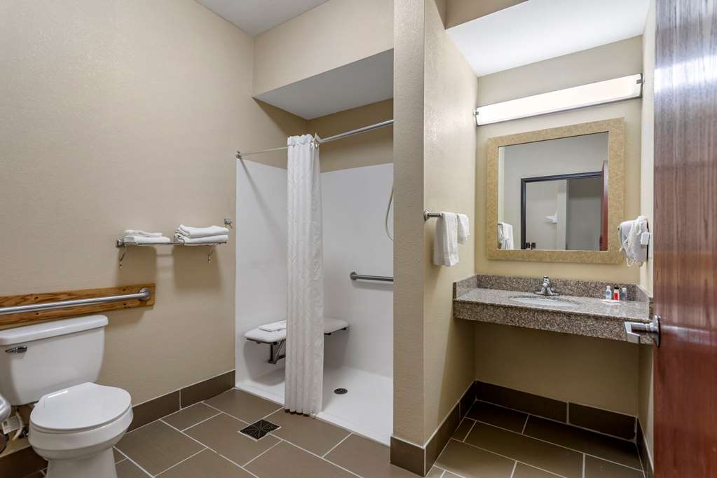 Comfort Inn & Suites Carbondale University Area - photo 11