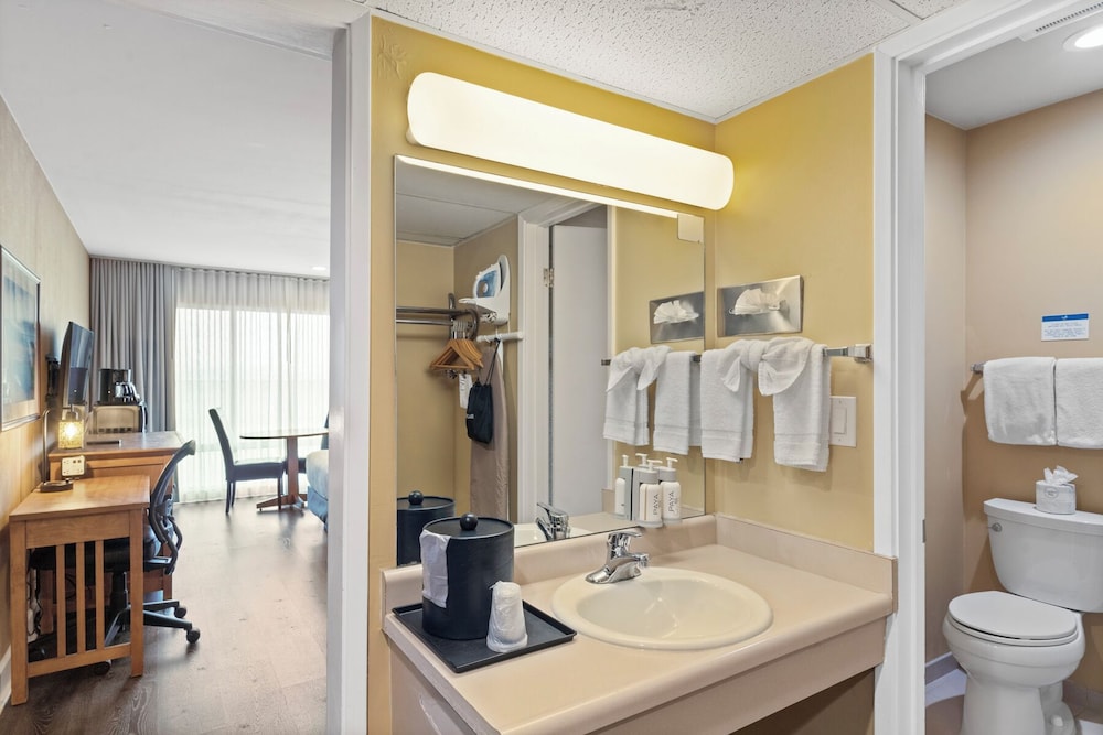 Vagabond Inn Executive San Francisco Airport - photo 32