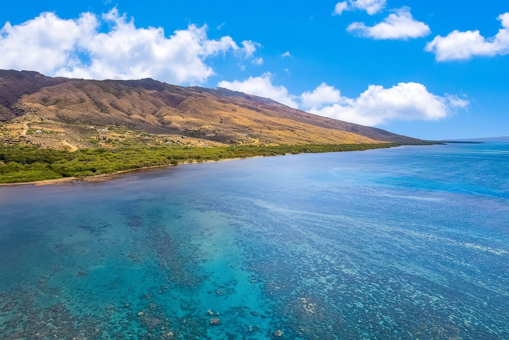 Hotel Molokai - photo 36