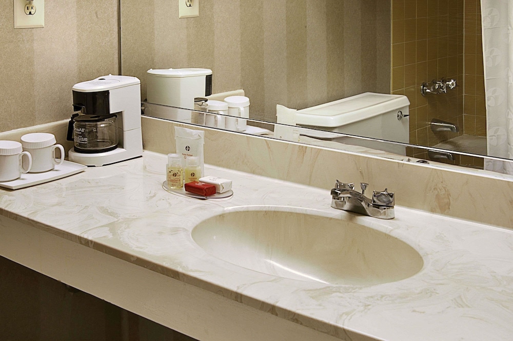 Ramada Hotel & Conf Center by Wyndham Augusta Downtown - photo 30