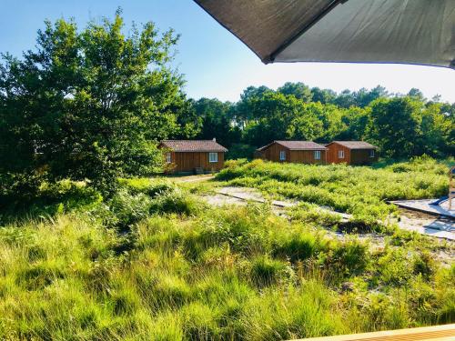 AE village - last minute hotel in Unknown City