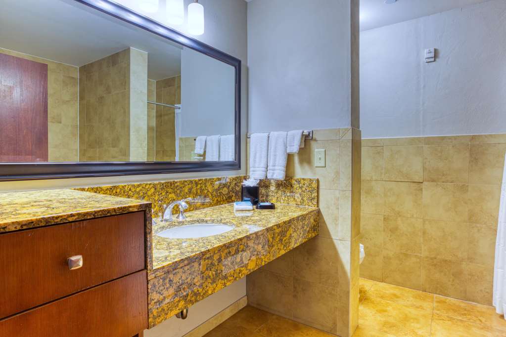Drury Plaza Hotel San Antonio Riverwalk - photo 116