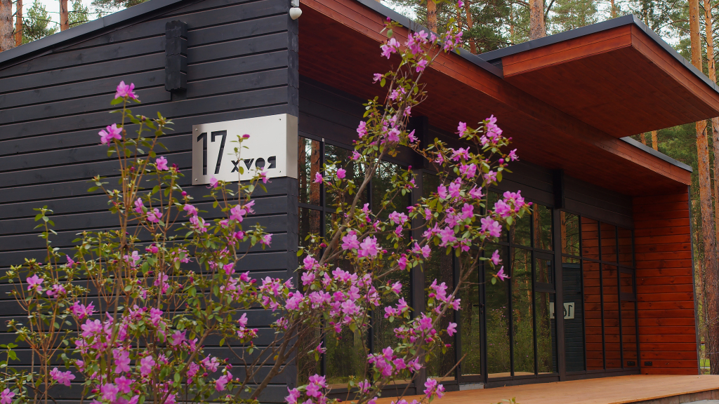 Zagorodnyj Hvoya v gorah Hotel in Unknown City, Russia