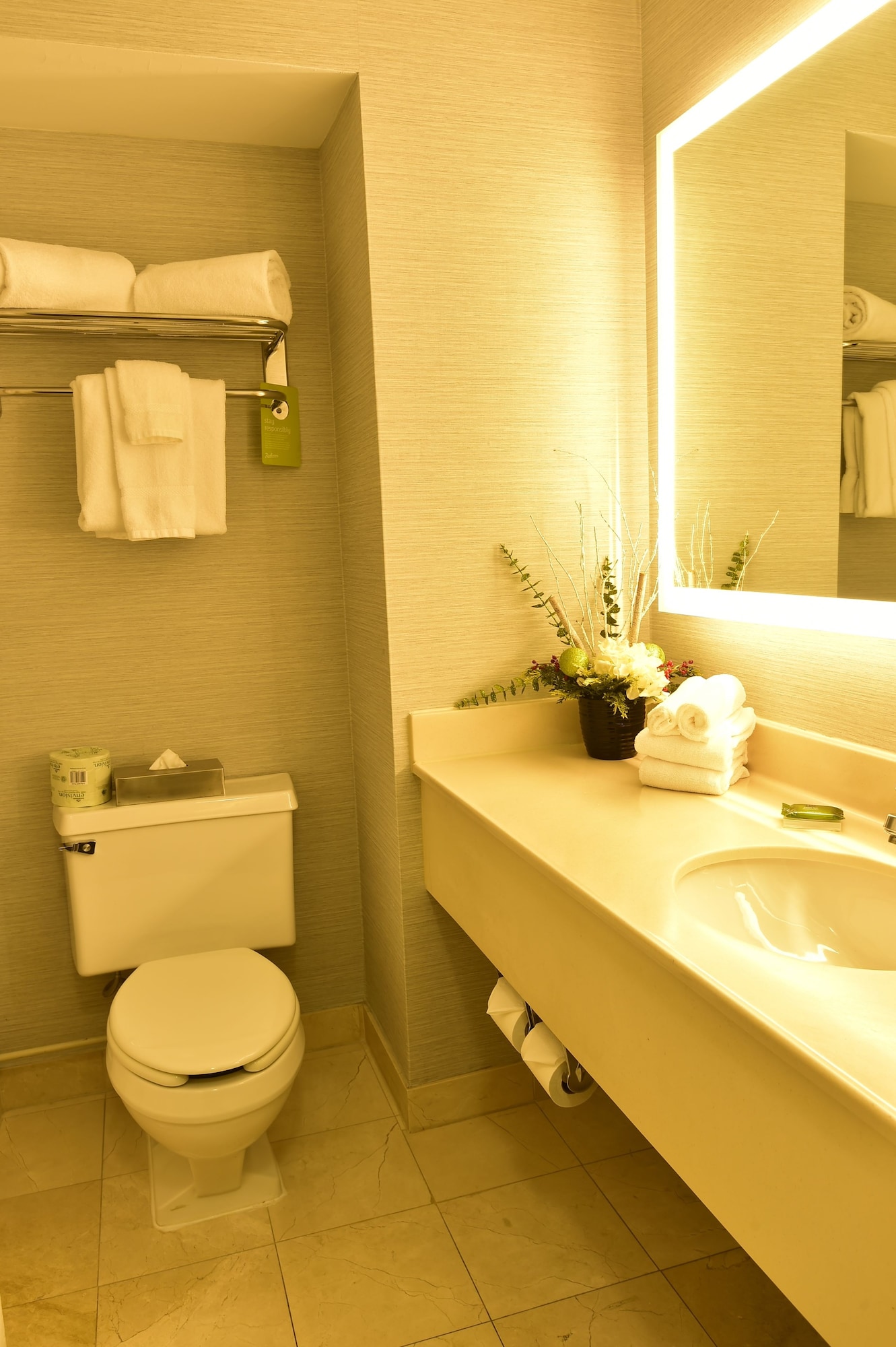 Radisson Hotel Niagara Falls Grand Island