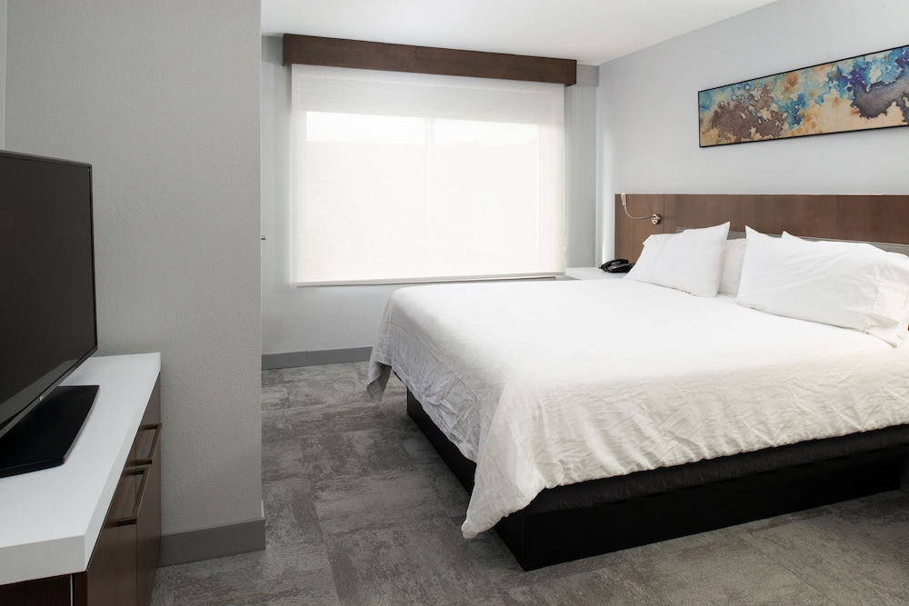 Hilton Garden Inn Baton Rouge Airport - photo 17