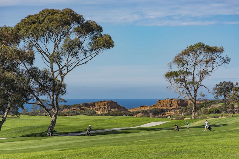 The Lodge at Torrey Pines - photo 65