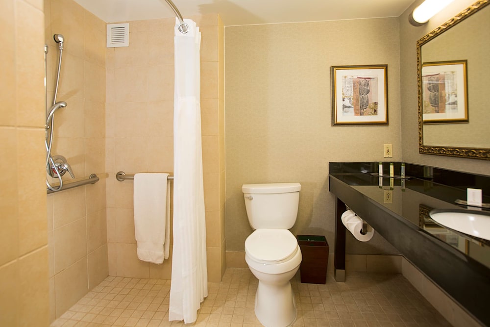 DoubleTree by Hilton Detroit Novi - photo 15