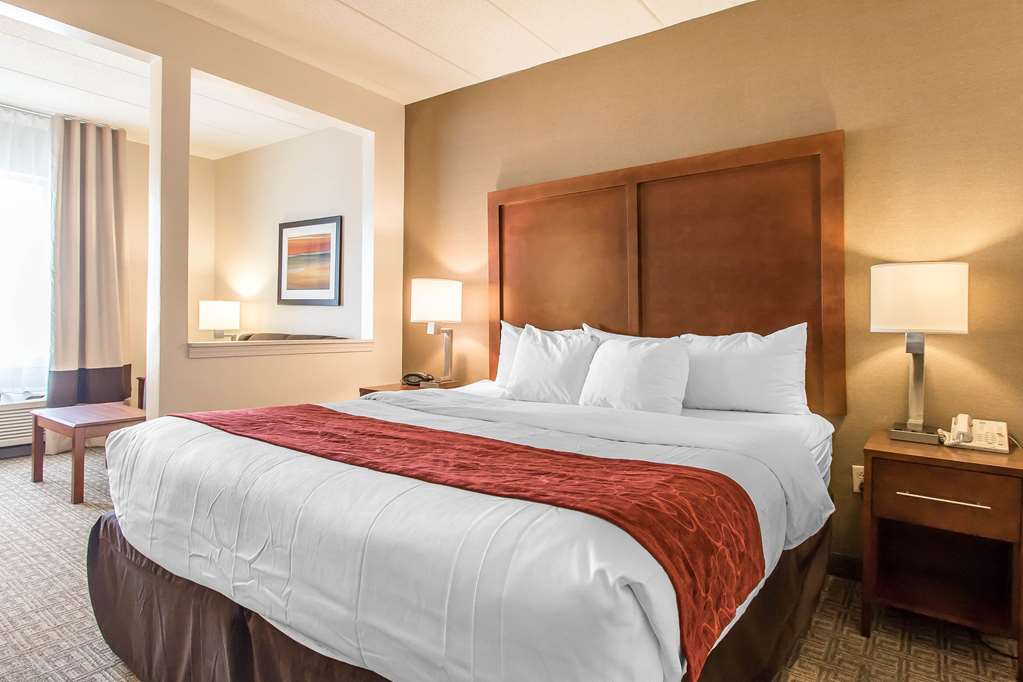 Comfort Suites Richmond - photo 13