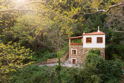 Stone Nest — Kokkari — photo 2