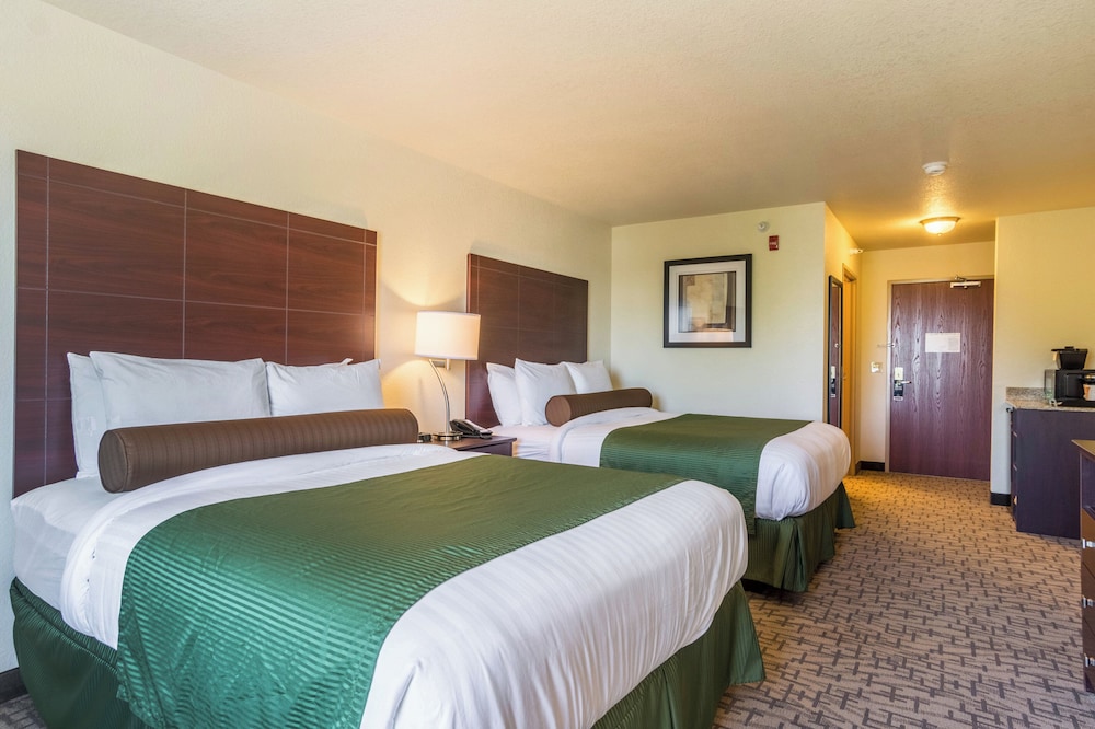 Cobblestone Hotel & Suites Erie - photo 14