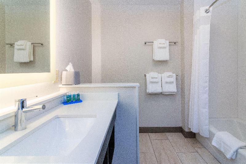 Holiday Inn Express & Suites Allen Park by IHG - photo 21