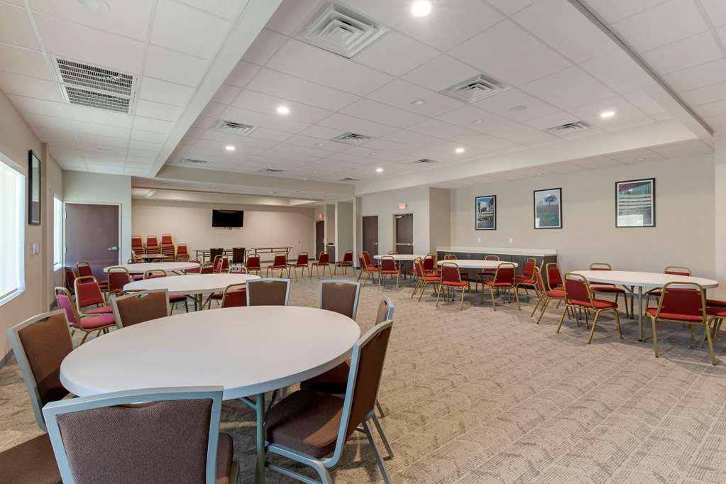 Comfort Inn & Suites Balch Springs SE Dallas - photo 25