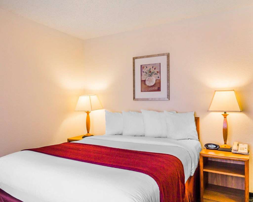 Quality Inn & Suites Golden Denver West - photo 12