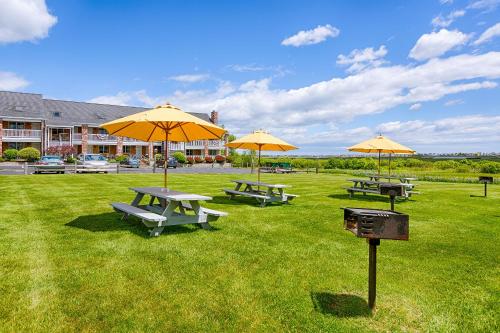 Misty Harbor Resort - photo 10