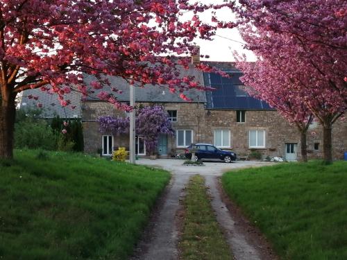 Cherry Tree Avenue - last minute hotel in Unknown City
