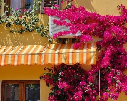 Appartamento in the Heart of Tuscany — 4-Star Luxury Hotel in Monsummano Terme, Italy