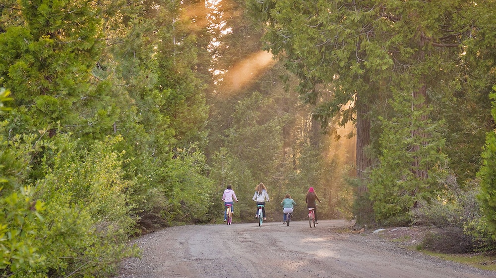 Snowflower RV Resort - photo 10