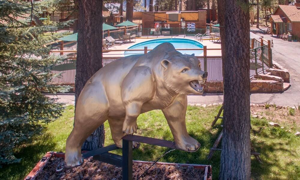 Golden Bear Cottages - photo 128