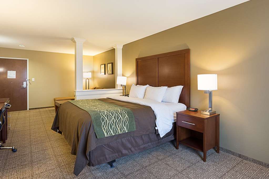 Comfort Inn & Suites Zachary - photo 29