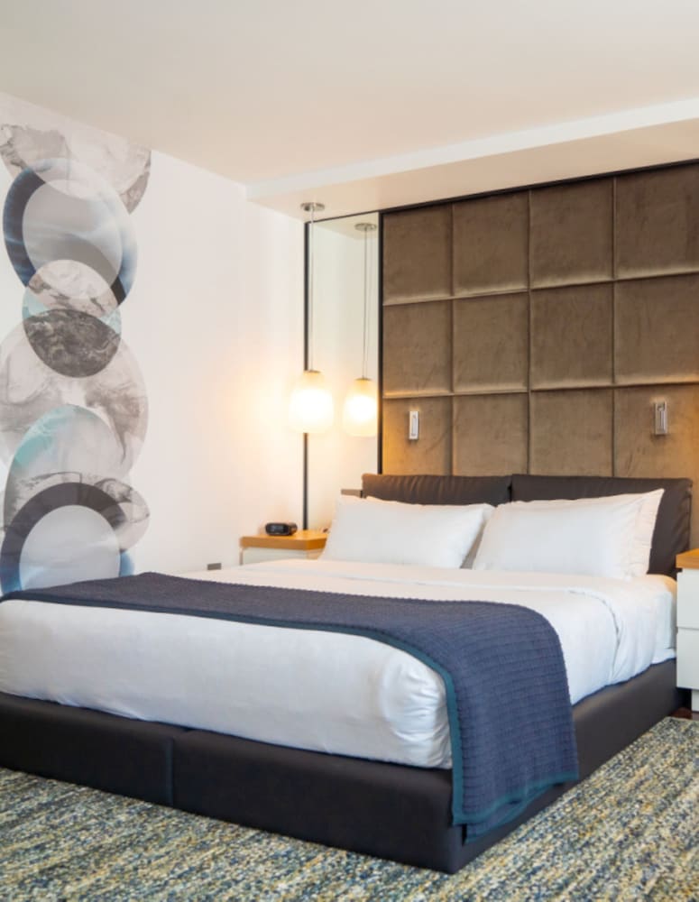 The Windsor Suites - photo 17