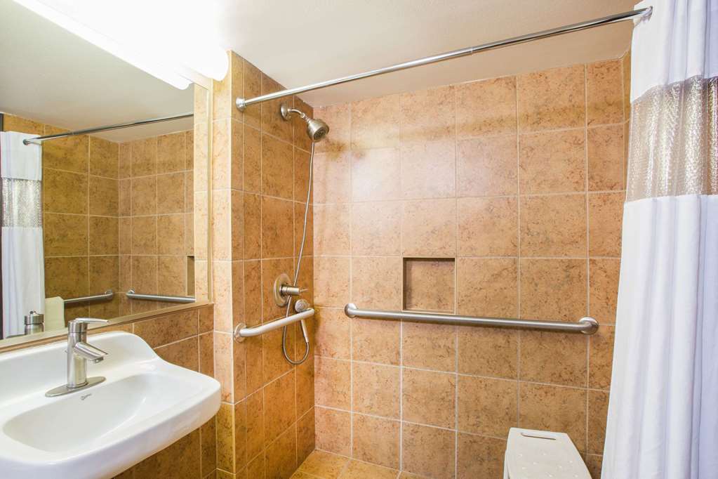 Ramada by Wyndham Des Moines Tropics Resort & Conference Ctr - photo 8