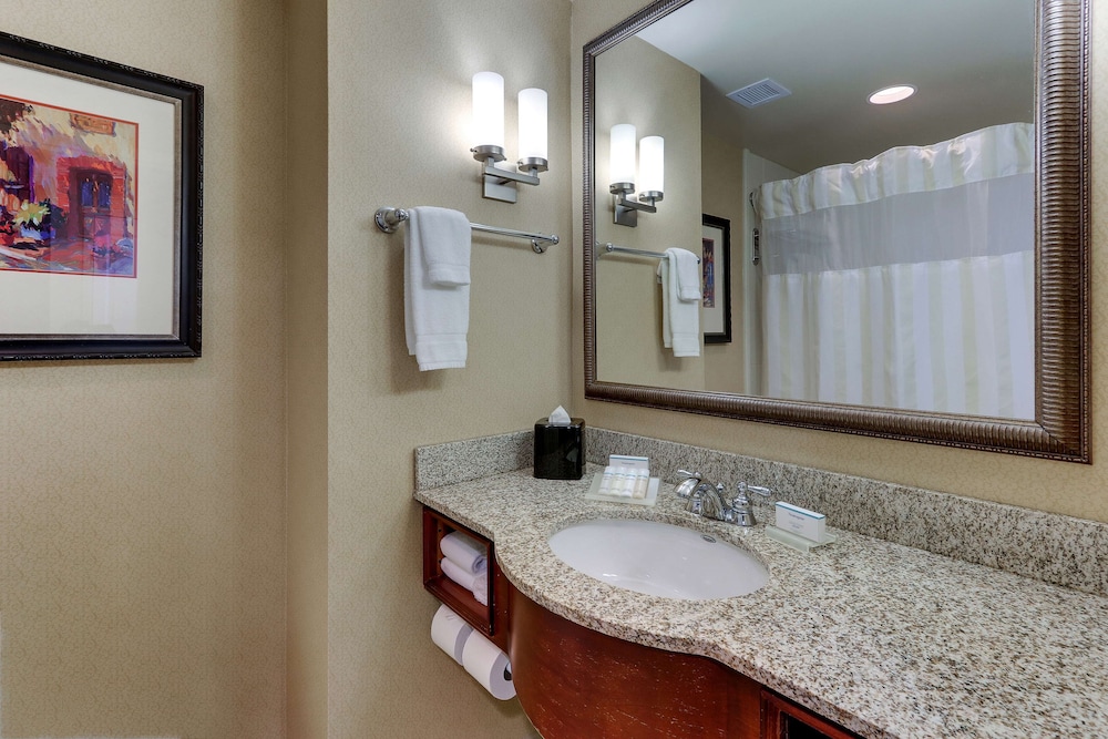Hilton Garden Inn Indianapolis Airport - photo 31