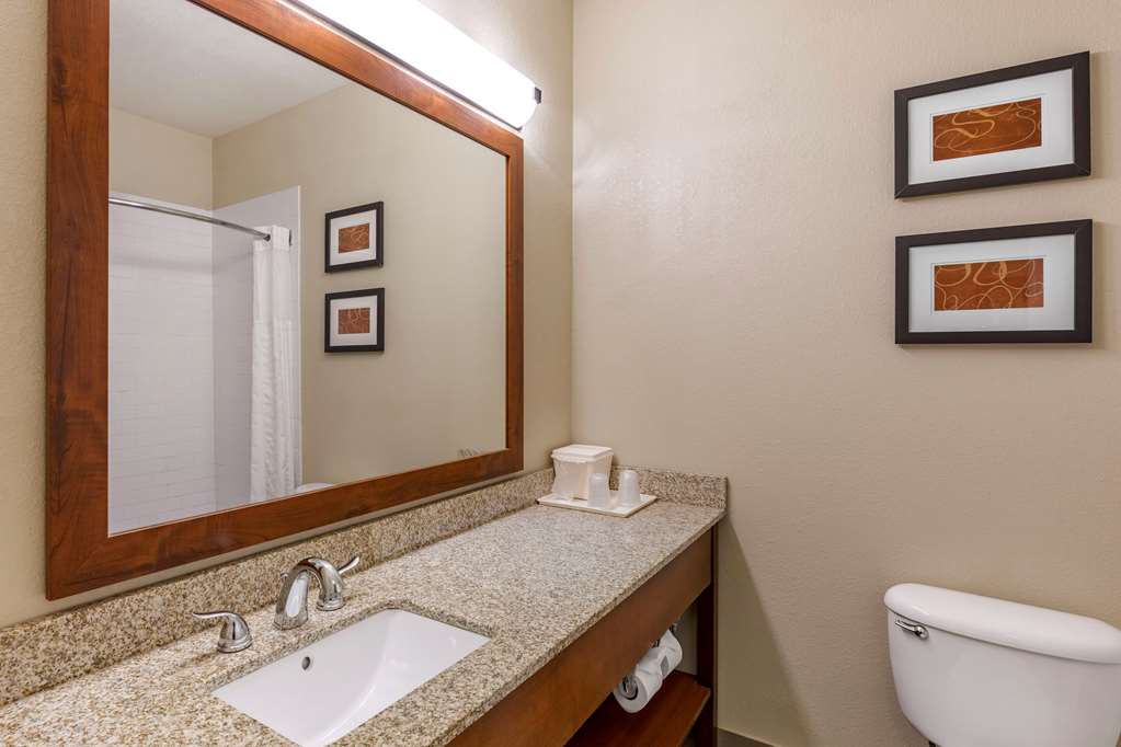 Comfort Suites Fort Collins Near University - photo 16