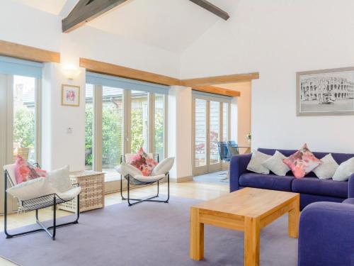 Marigold in Shepton Mallet, United Kingdom