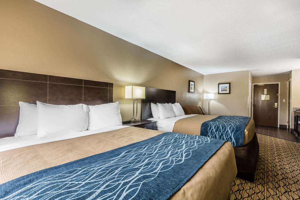 Comfort Inn & Suites Crystal Inn Sportsplex - photo 11